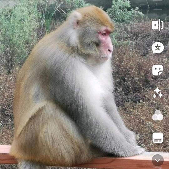 爱无止境