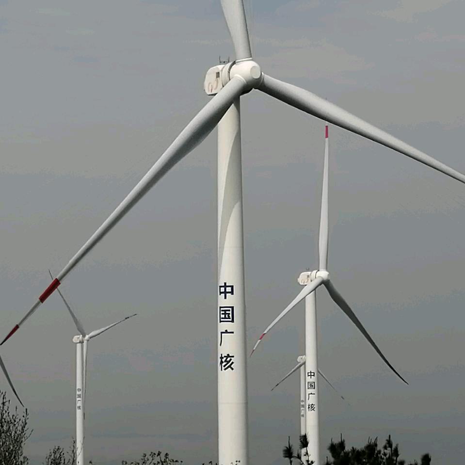 用户鄂S