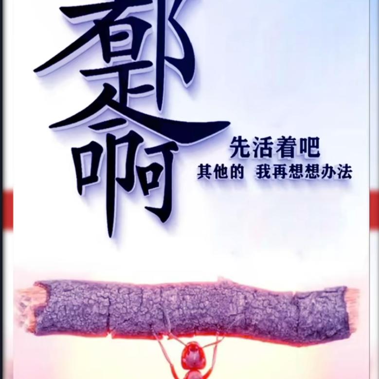 8六