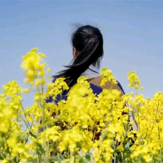 云梦