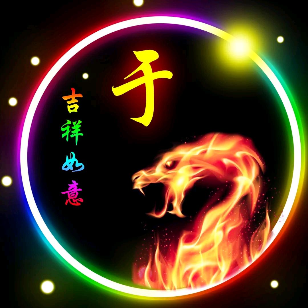 龙姐