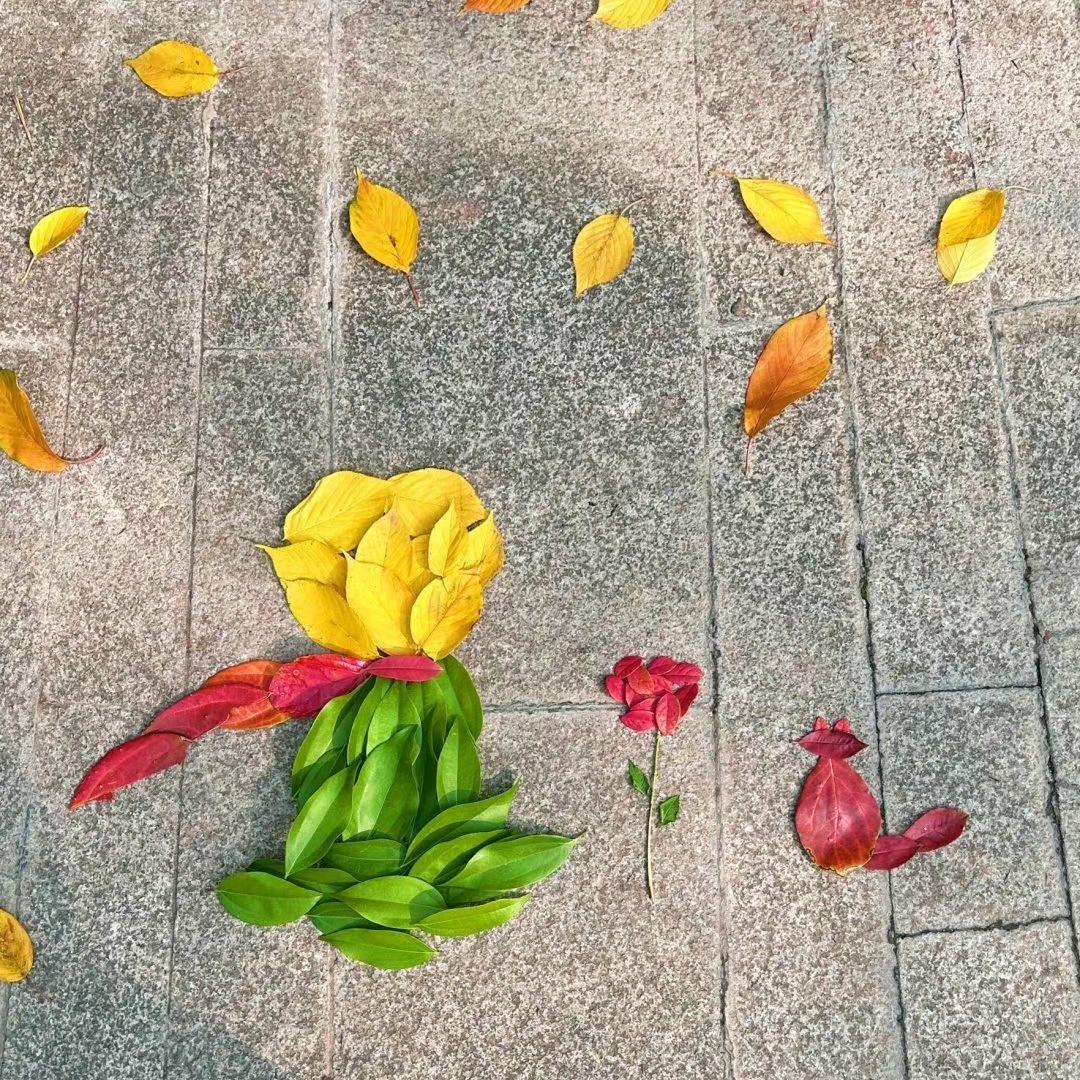 一枕清风i