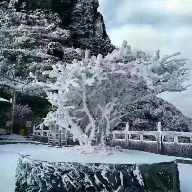 用户6740902142705天崩地裂