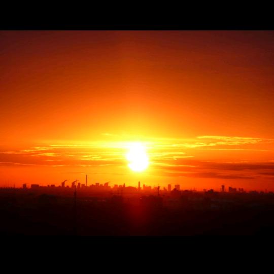 阻燃面料|森林|应急救援服