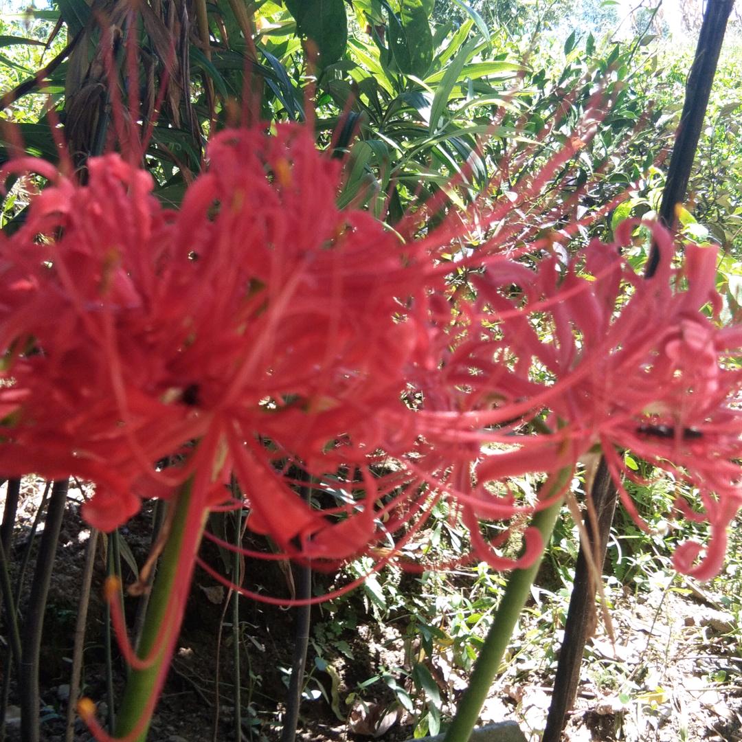 让时间来证明