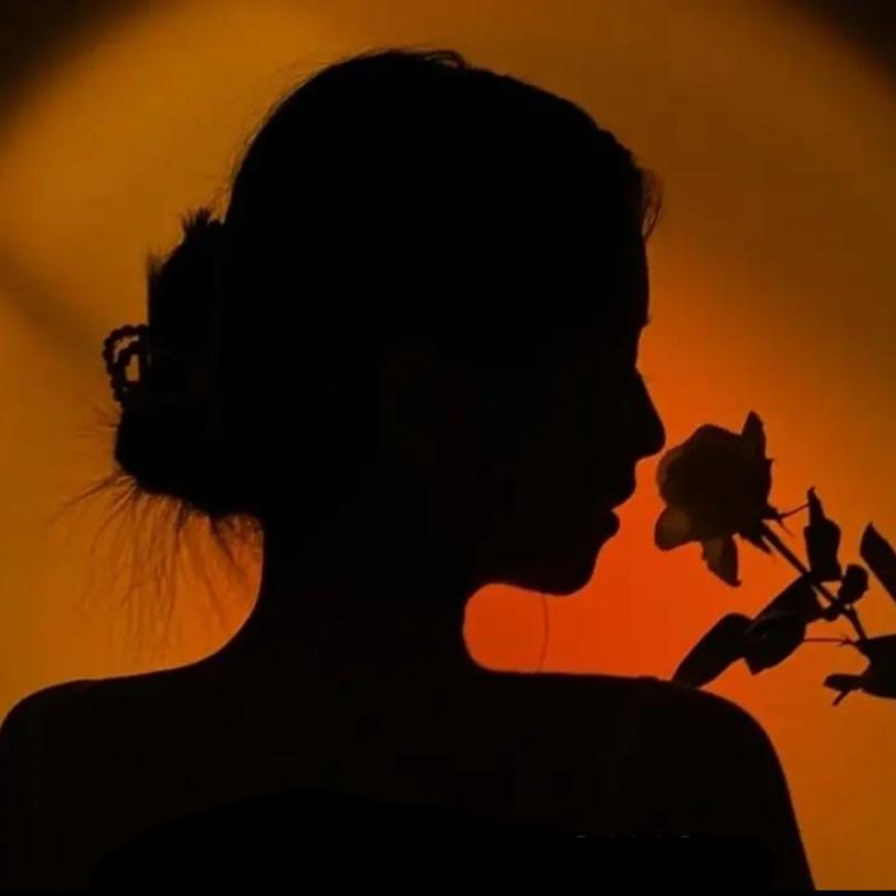 洋洋洋洋🍃(X5互)