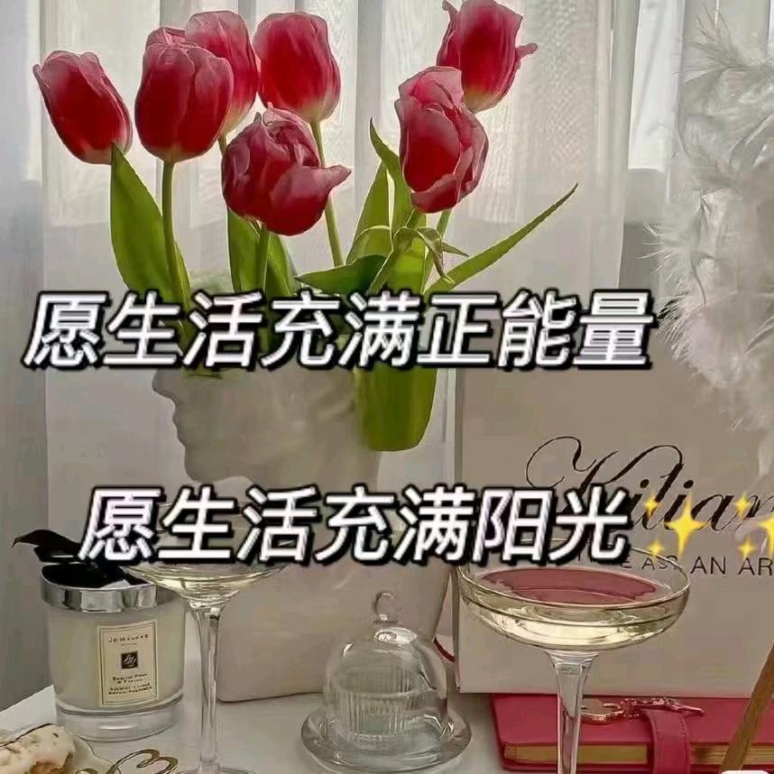 未开的梦