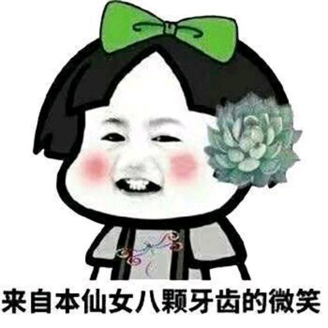 媛圆圈圈