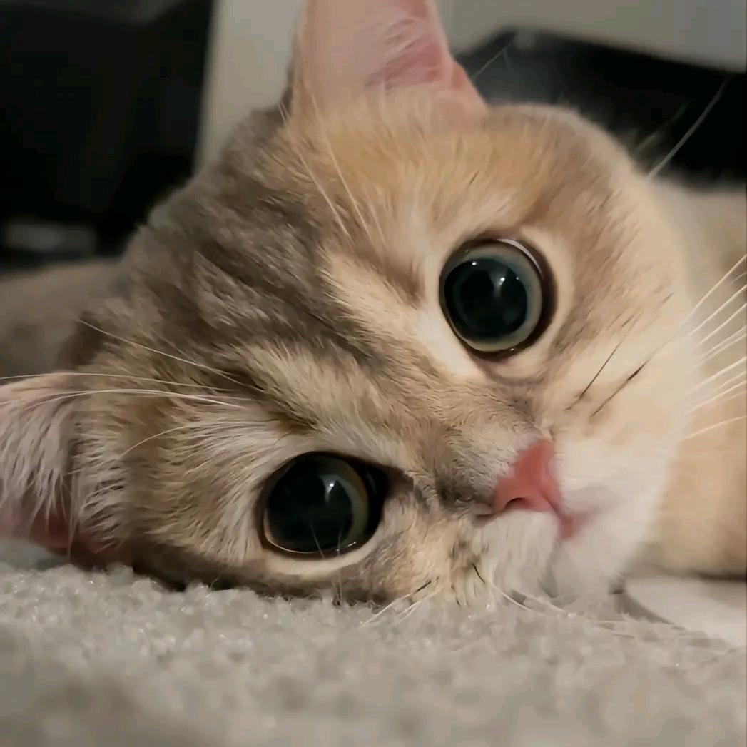 我们差点就赢了不是吗