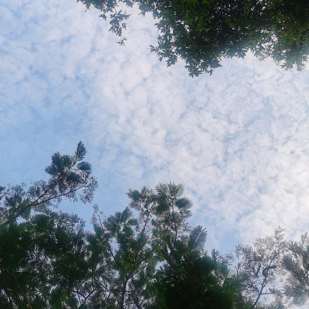黄生亮~辽远空间