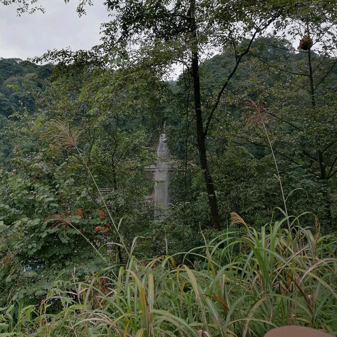 阳刚刚好