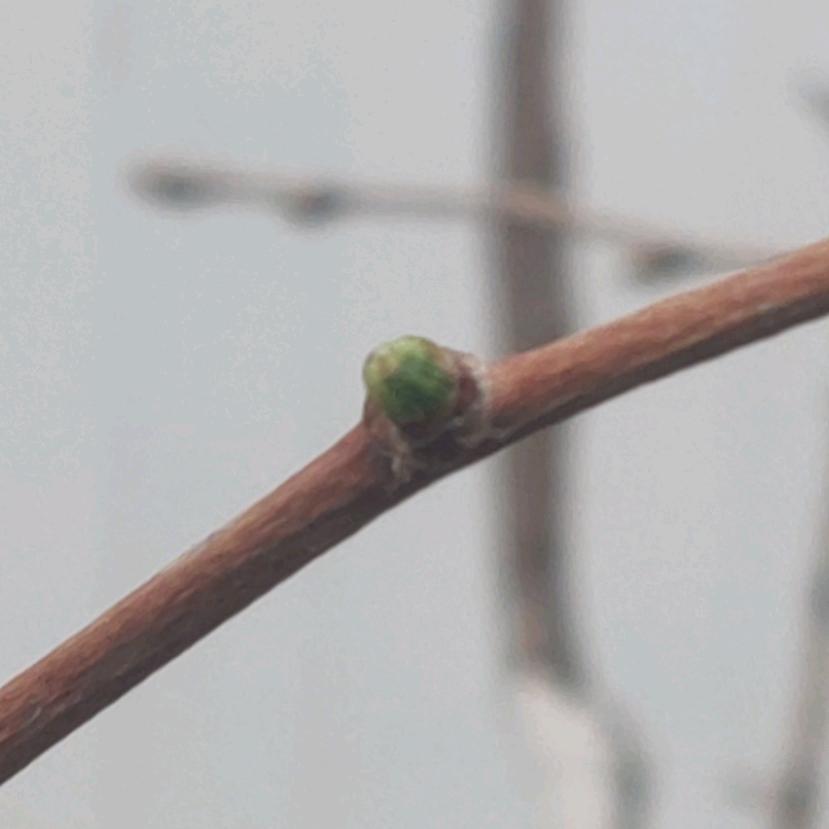 路人不分甲乙丙