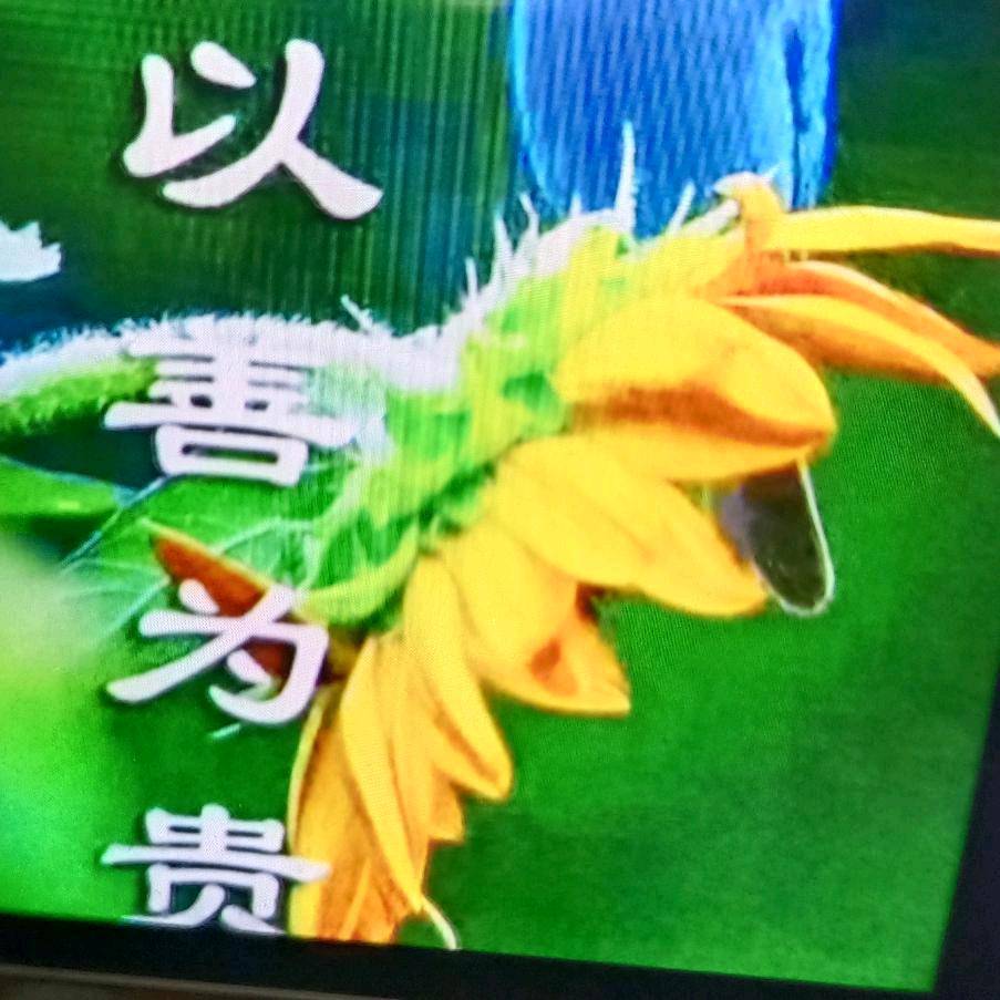 冉   启   軍  真心❤️❤️❤️❤