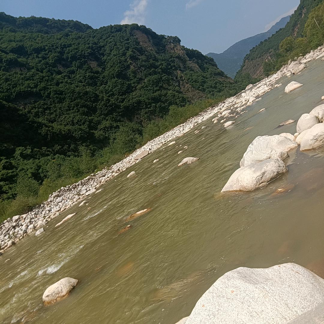 黑头发飘起来