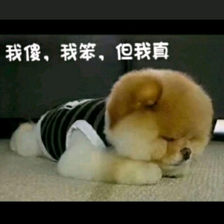 ℋღ᭄聚星🍒᭄💞࿐