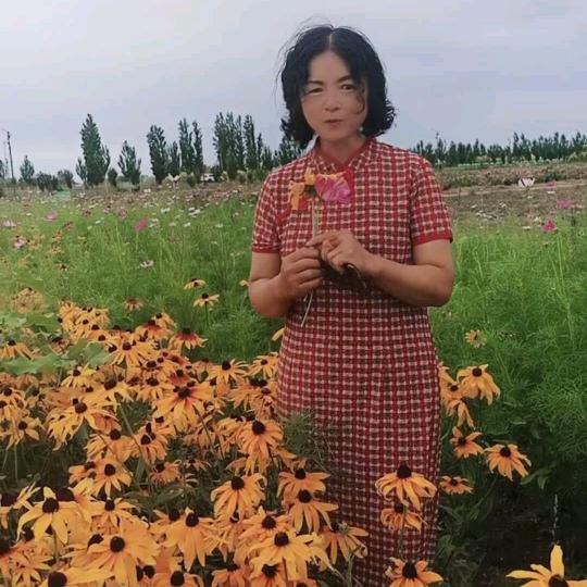 孔庆玲