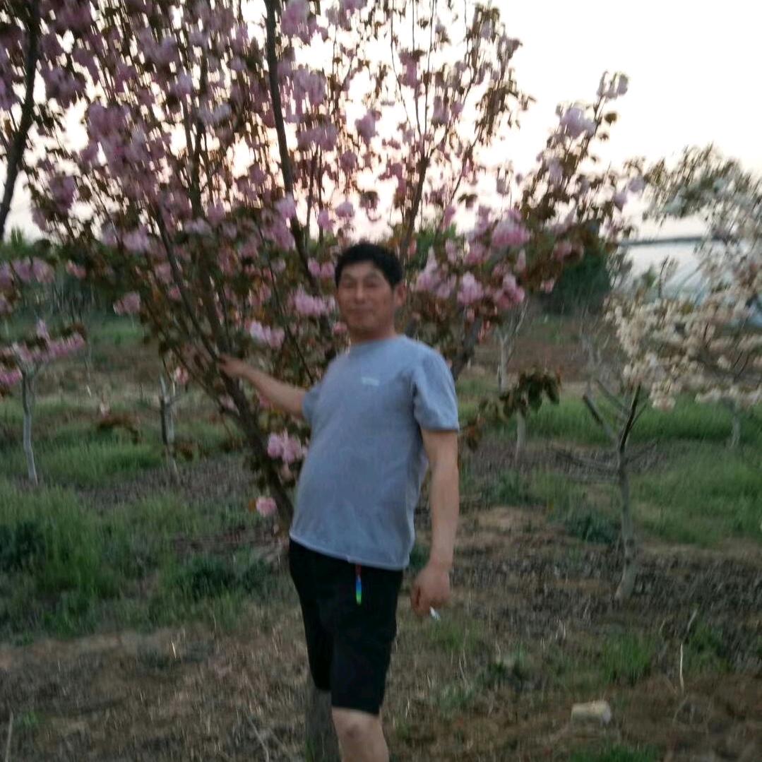 自由自在的生活