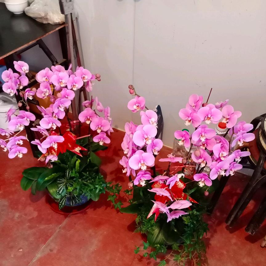 快乐生活每一天