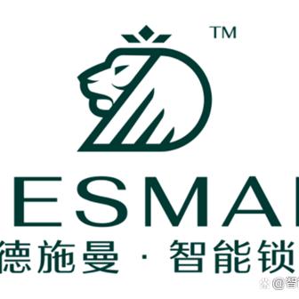 德施曼智能锁呼和浩特