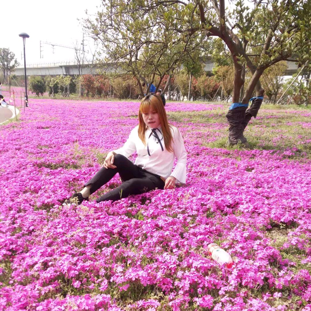 💕₅²⁰ઈོ💞ঞᩚ᭄幸运小英ꕥ້໌ᮨ