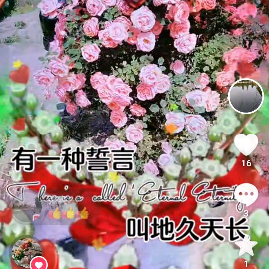 善缘法师