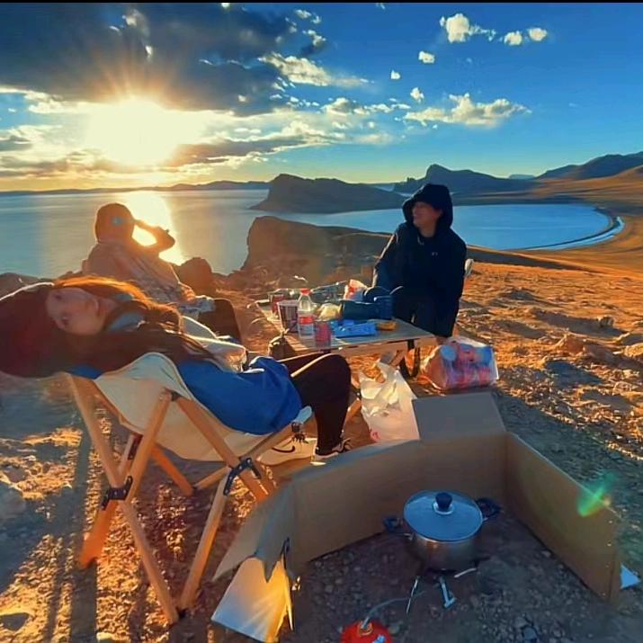 重生之我被算法困在这里