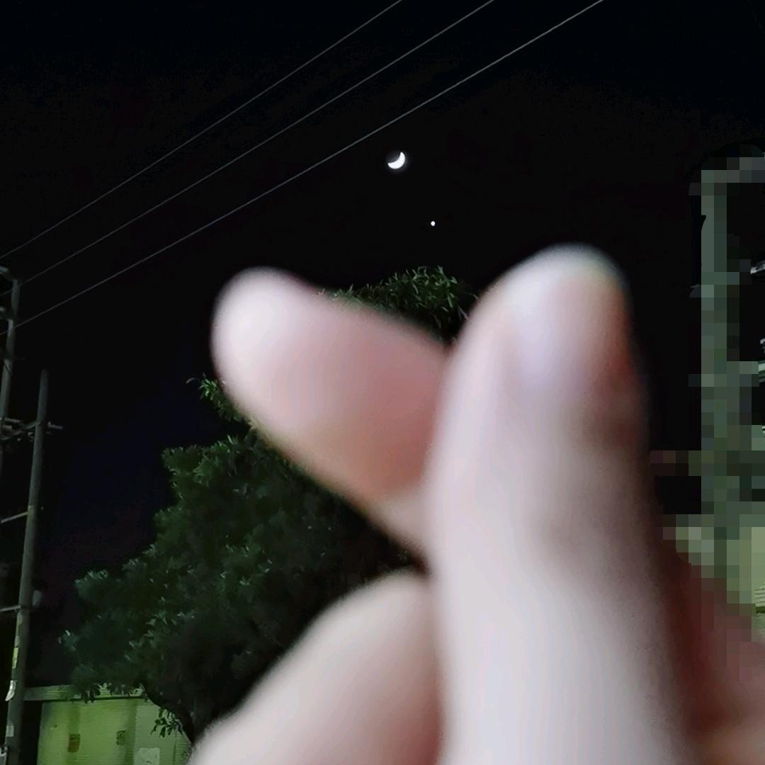 张歆雨এ