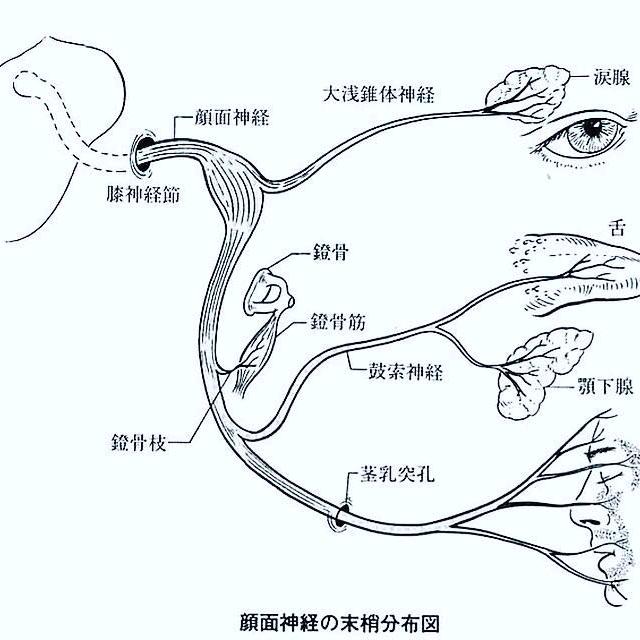 王新宇大夫