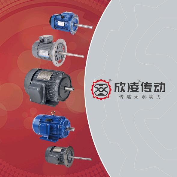 电机生产厂家（欣凌传动）