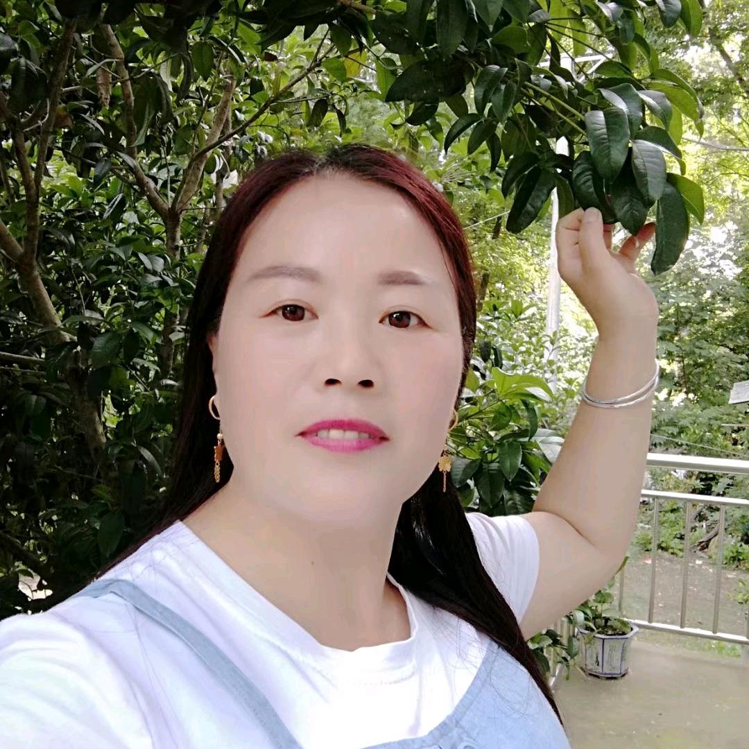 蔷薇花