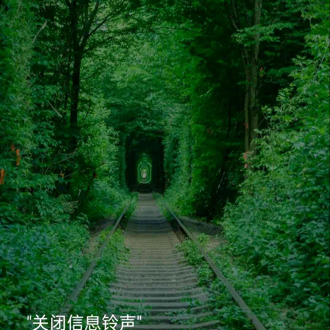 流星语&