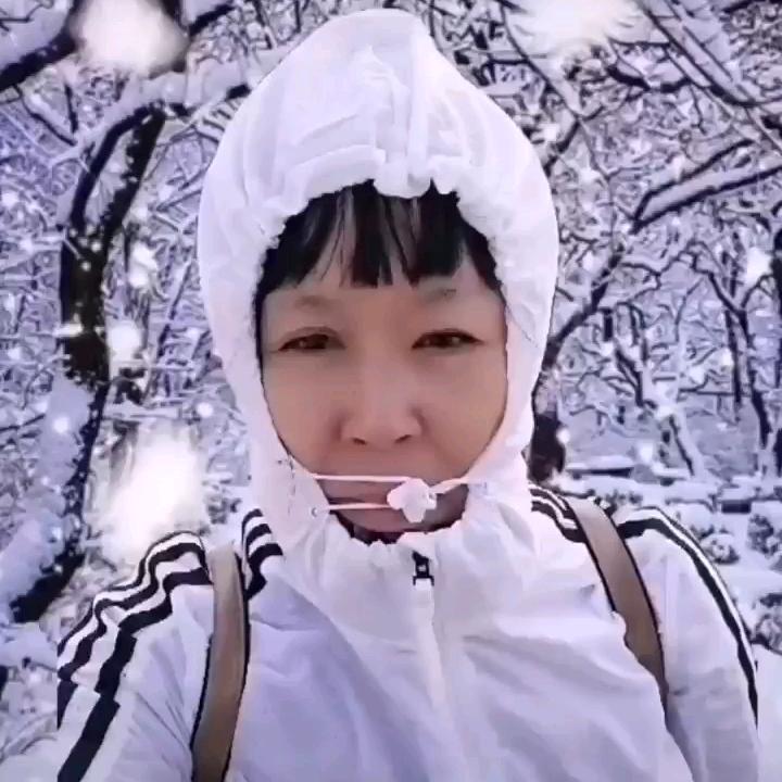 雪菲儿