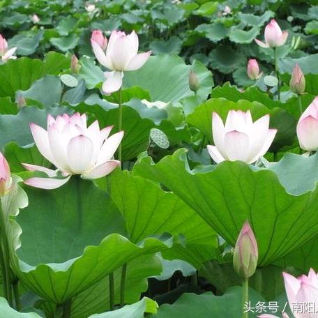 走天涯