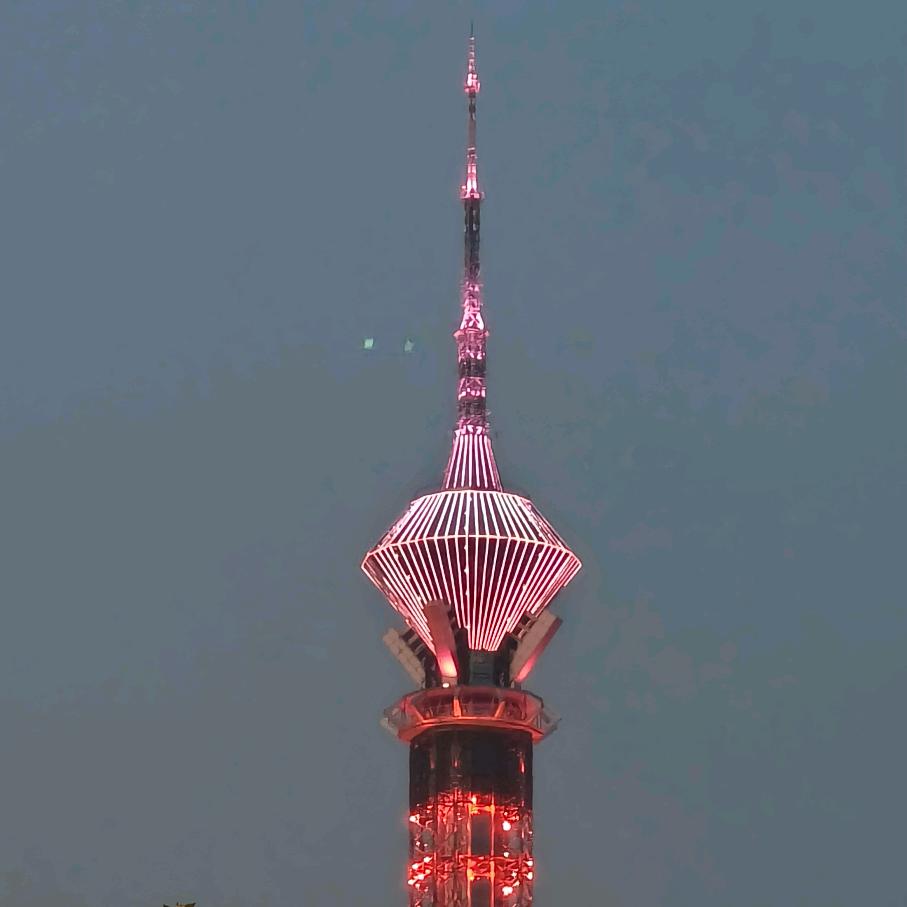 木与石9857