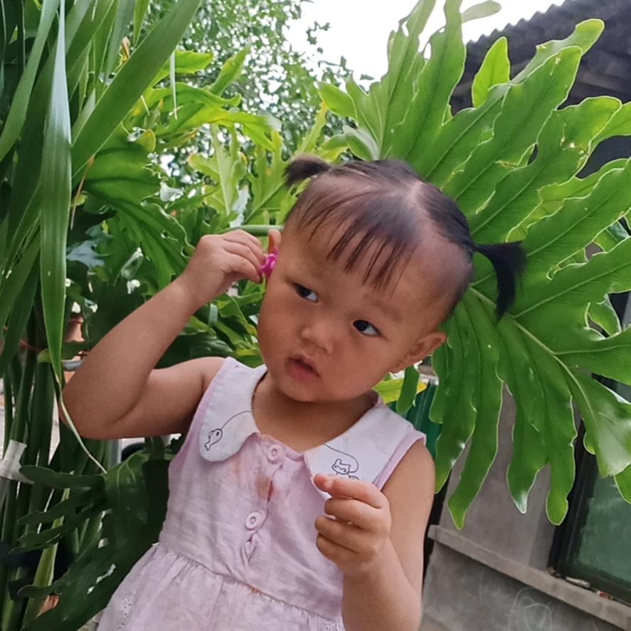 董罗家