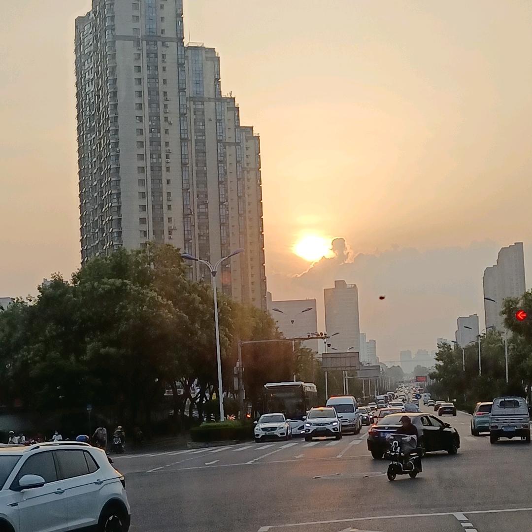 山樱桃