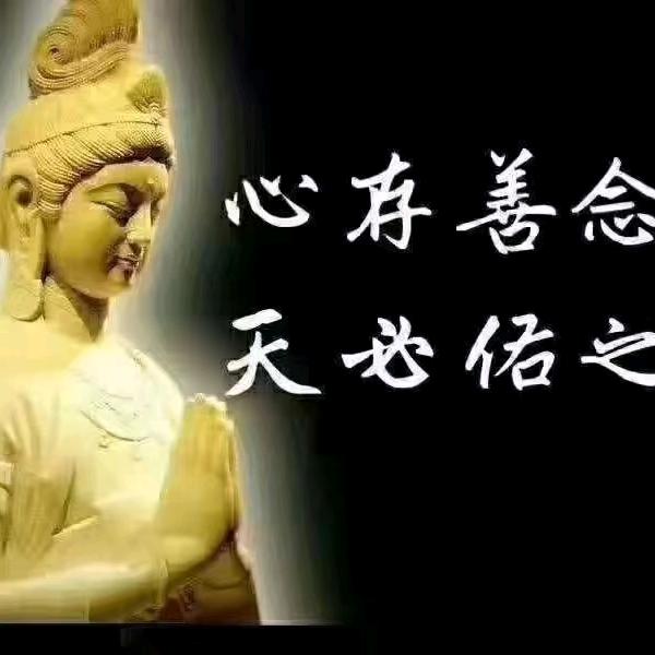 辽东湾玄武岩商贸（陈杰）