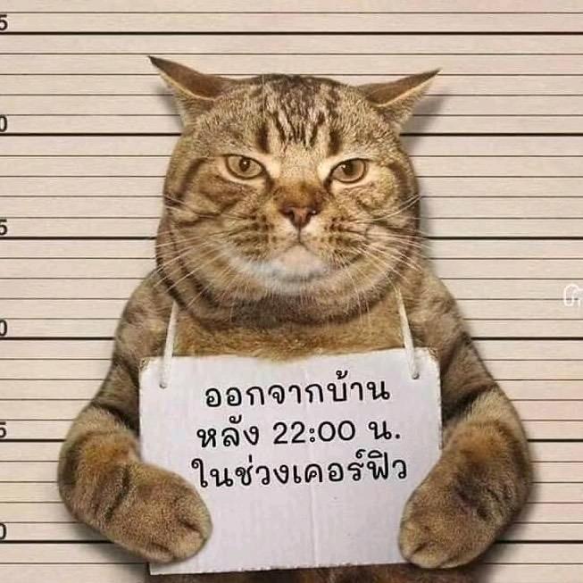 🌈🌈🌈🌈🌈🌈🌈🌈🌈🌈