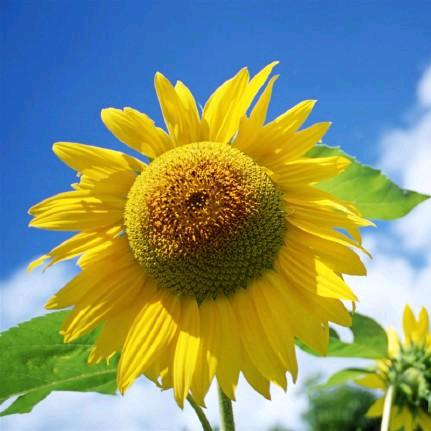 忙忙碌碌的满足