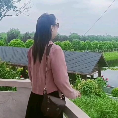 晨雨芳香