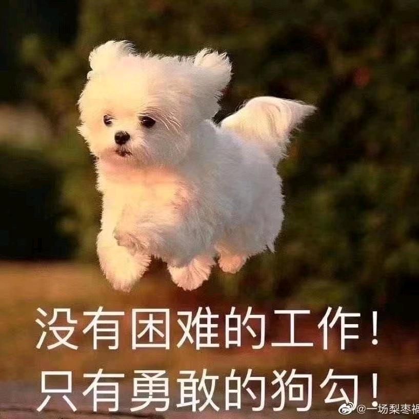狎游
