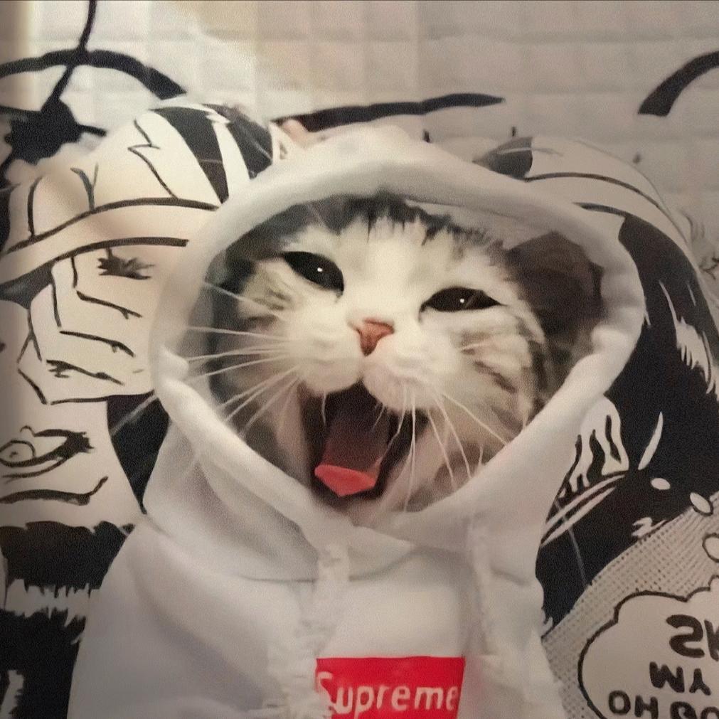 Zᝰ