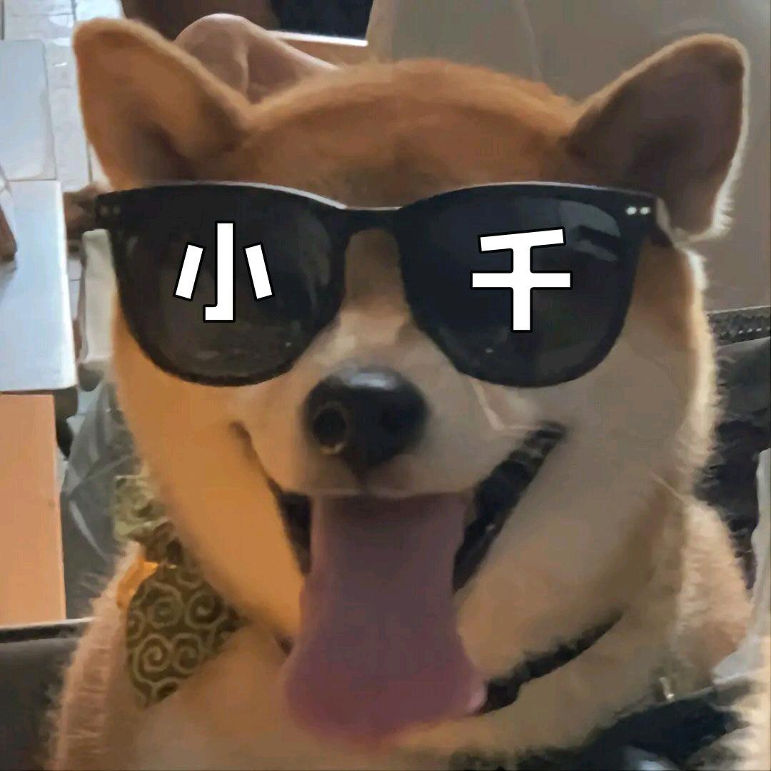 娱乐小千