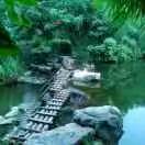 一生无悔