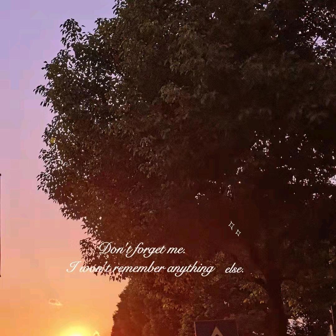 路比
