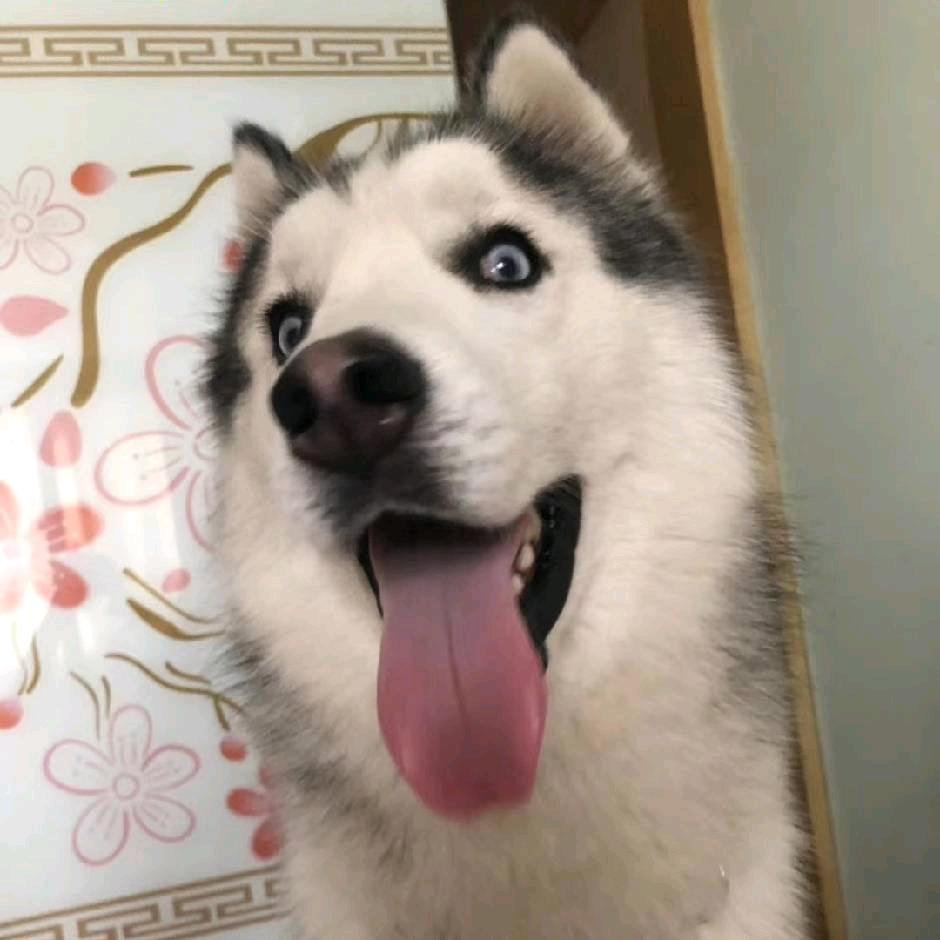 笑骂随意