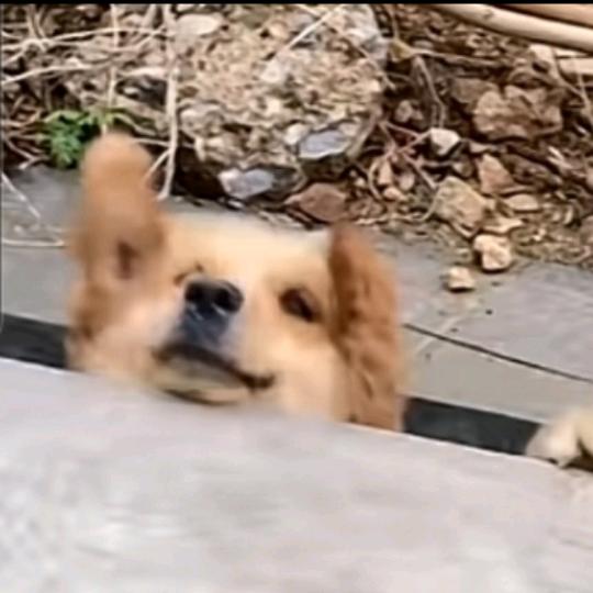 🌈游标卡尺🍂