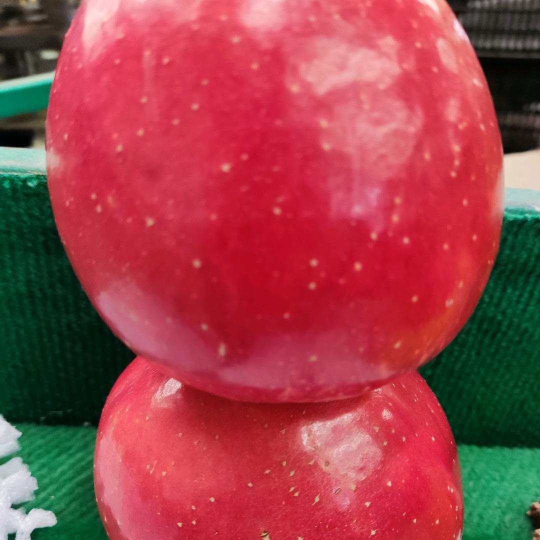 爱自己