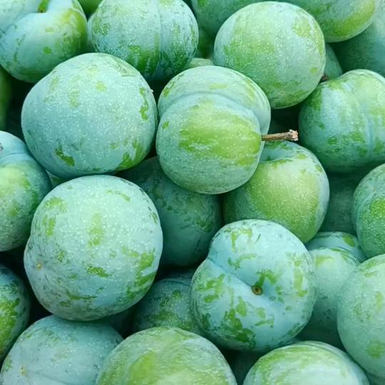 💚💙💜幸运星💜💙💚