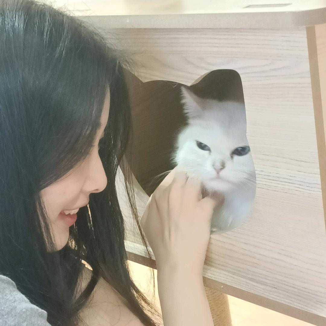 chenxinyiiiii